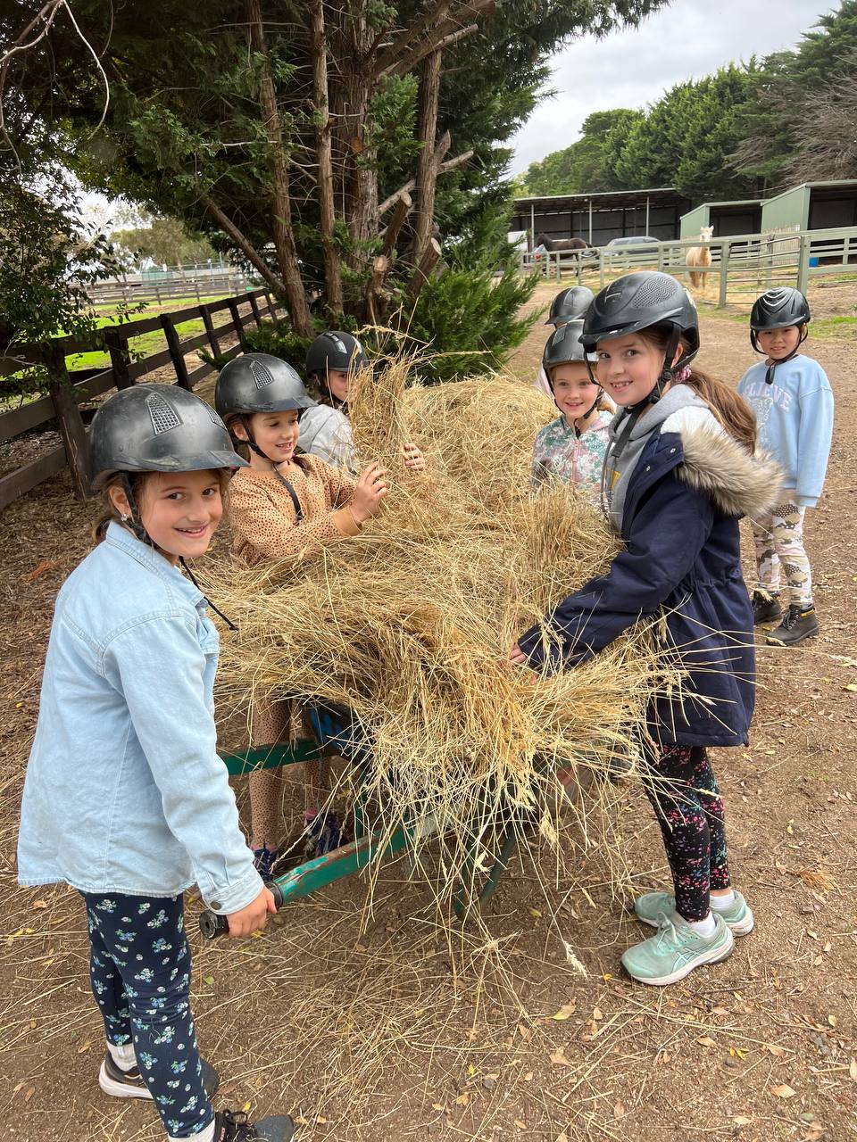 School Holiday Program - 3hrs - Woodlands Lodge