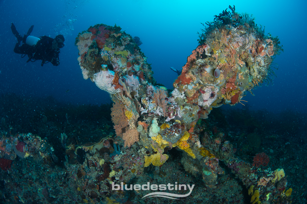 Rottnest Island Deep Dives