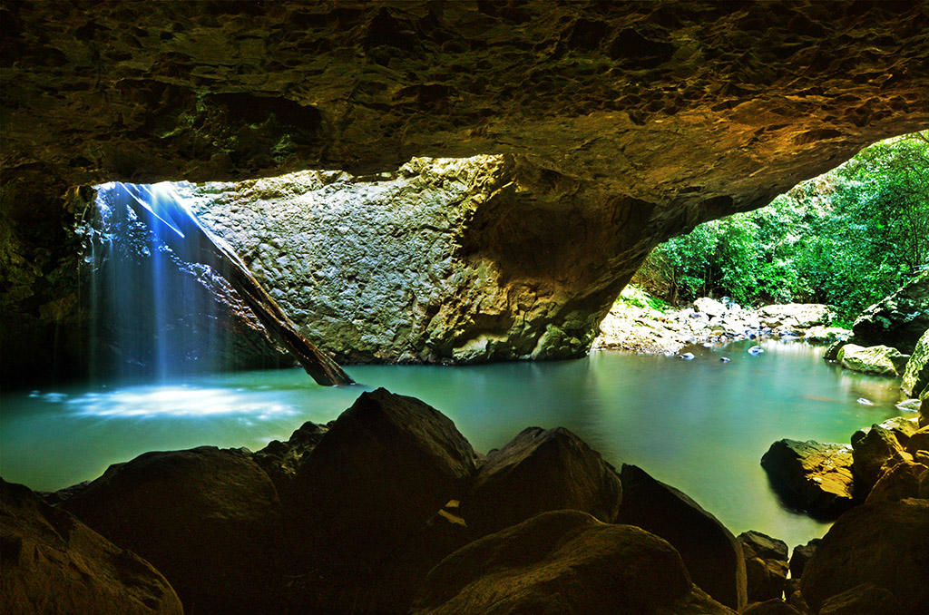 Springbrook & Tamborine Rainforest Tour