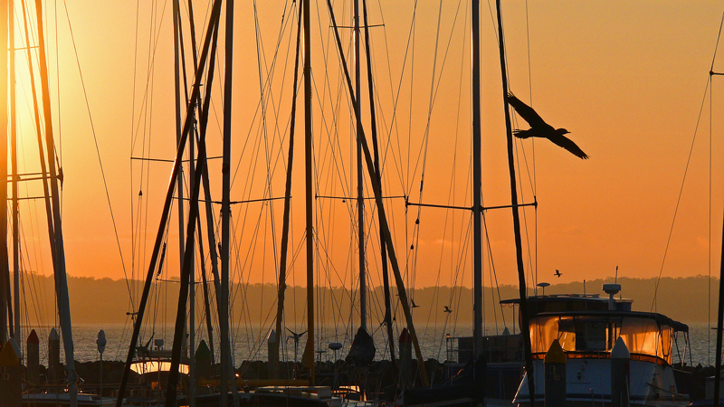 Milbi Sunset