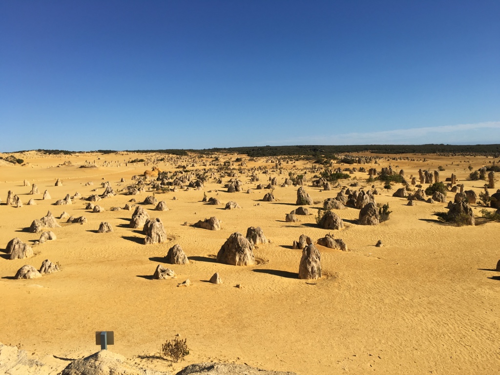 Caversham Wildlife Park, Lobster Shack, and Pinnacles private full day tour