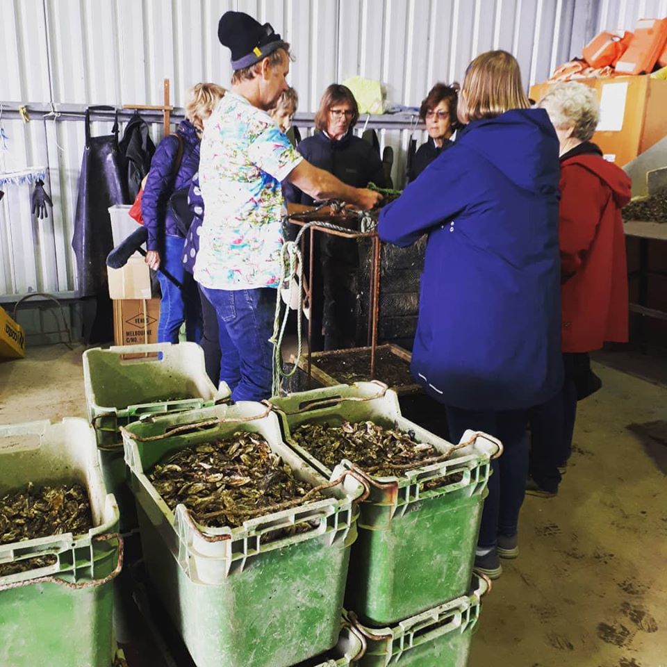 Behind The Scenes Oyster Farm Tour