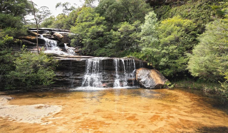 Blue Mountains Private Day Tour from Sydney