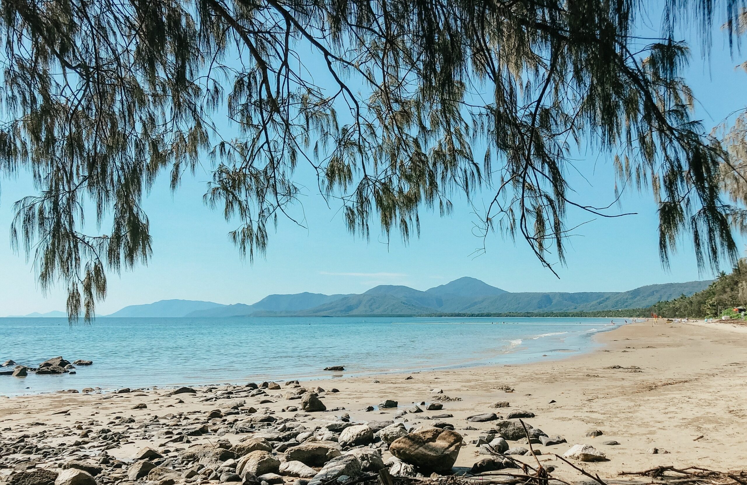 Queenslander @ 4 Mile Port Douglas