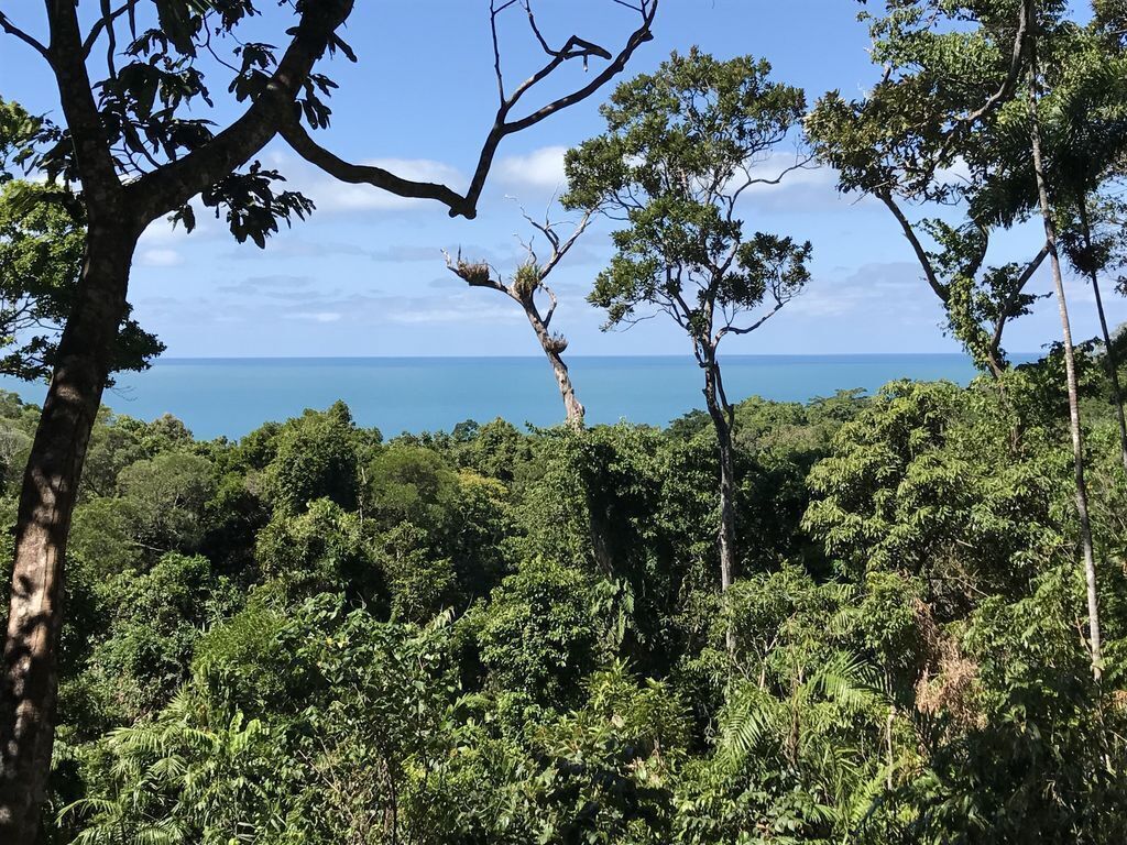 Daintree Magic Holiday House