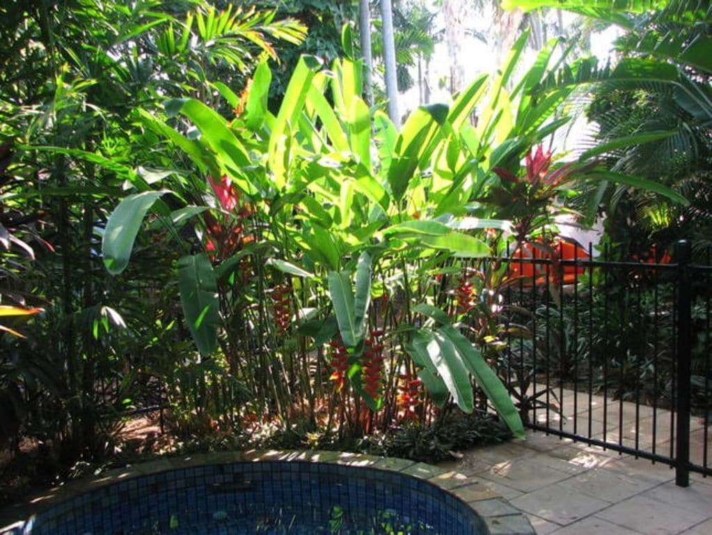 Tropical Retreat - Perfect for Families or Small Groups and pet Friendly