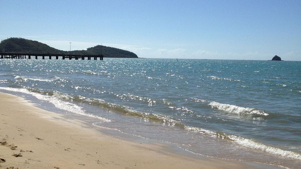 Crae Cowrie, Palm Cove