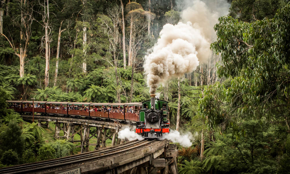 Puffing Billy Belgrave to Gembrook Return Tickets