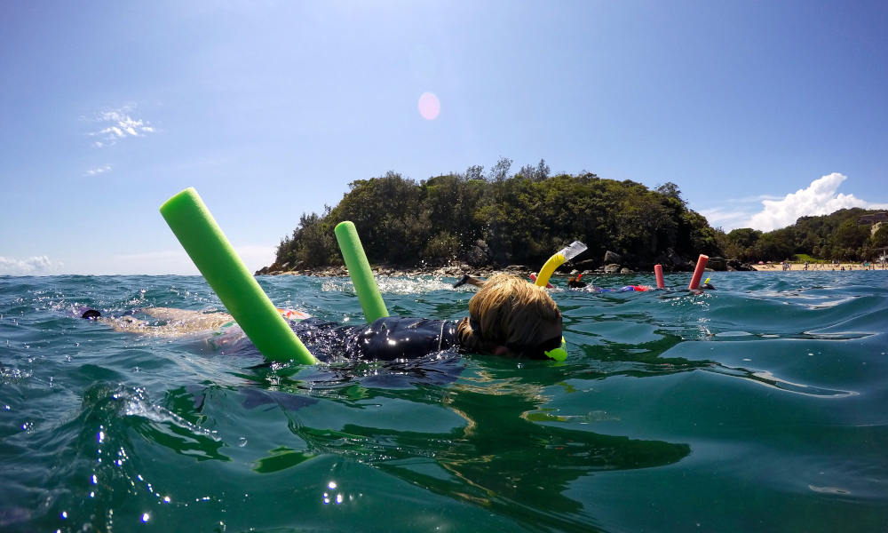 Manly Snorkel Walk and Talk Tour