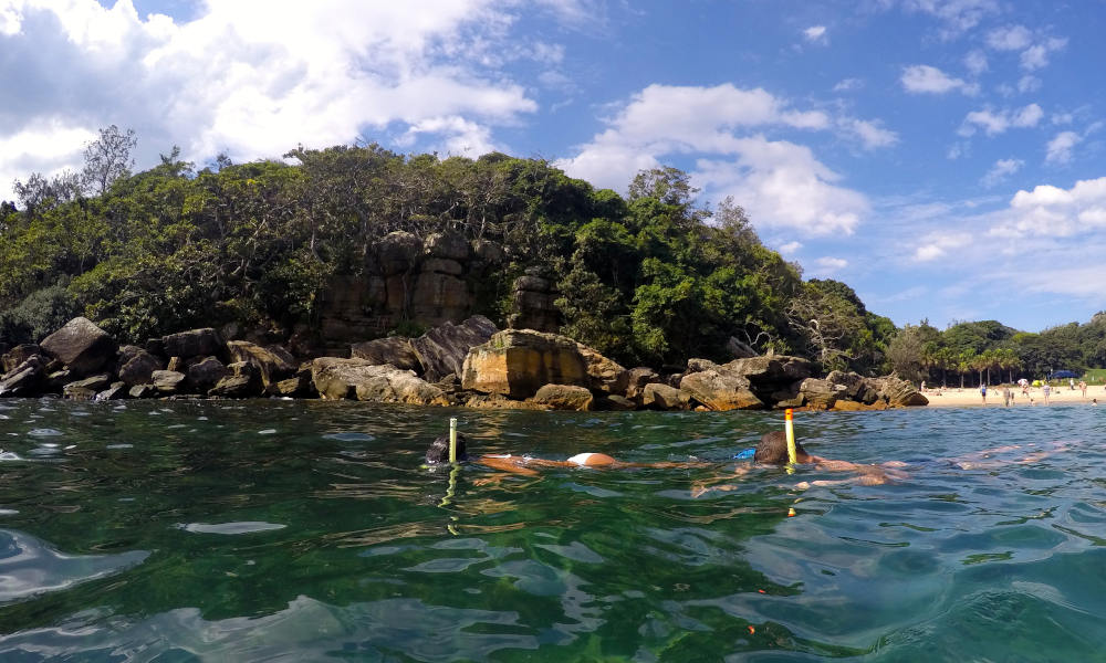 Manly Snorkel Walk and Talk Tour