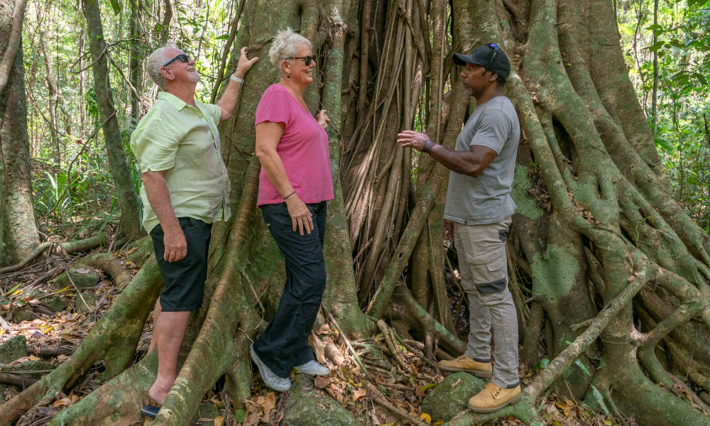 Full Day Private Cultural Experience Of The Port Douglas Daintree Region