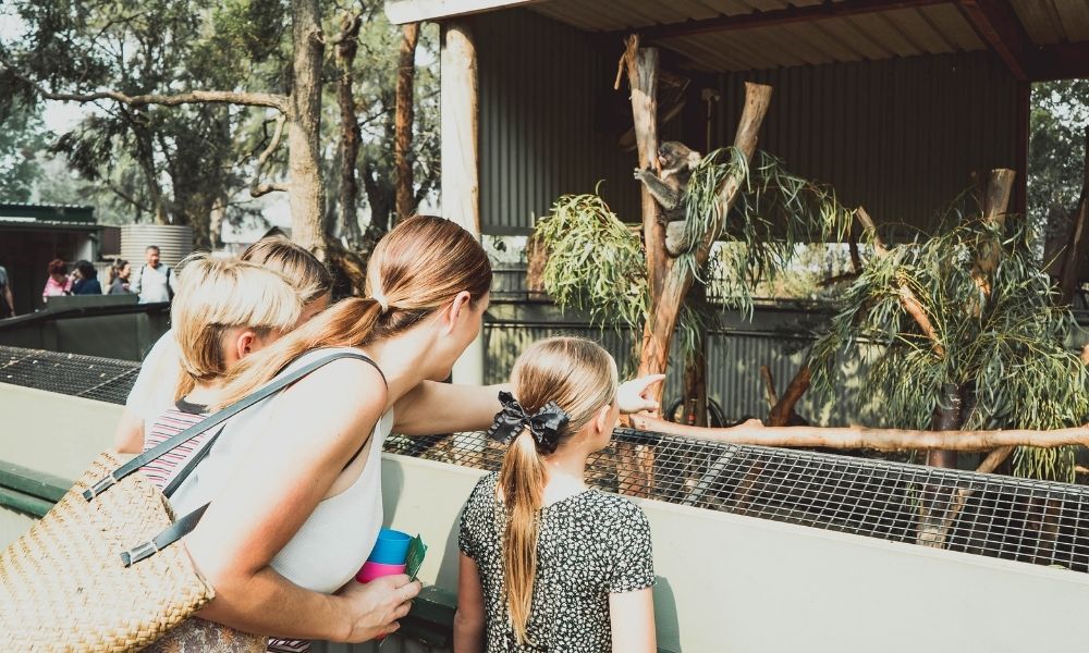 Featherdale Wildlife Park Entry Tickets