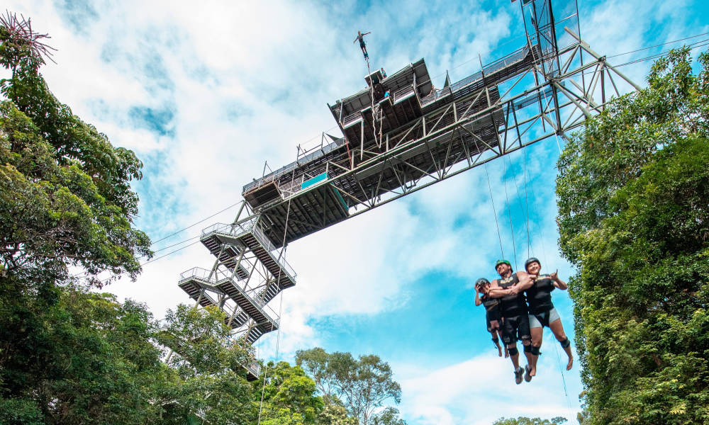 Cairns Unlimited Bungy Jump and Giant Jungle Swing Pass, Australia