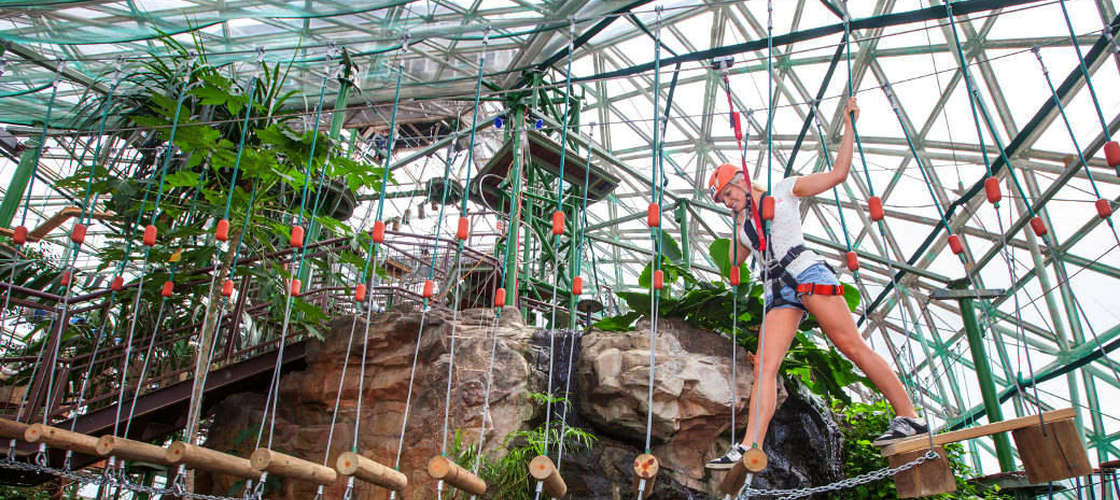 Cairns ZOOM and Wildlife Dome Entry Packages