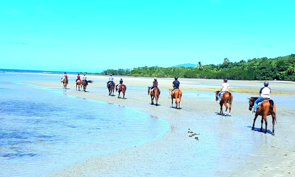 Mid-Morning Beach Horse Ride