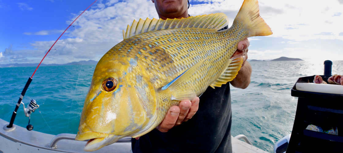 Full Day Fishing Charter including Lunch