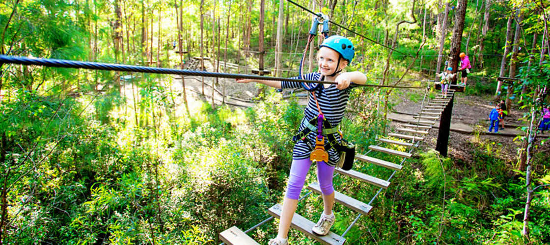 Gold Coast Hinterland Junior TreeTop Challenge