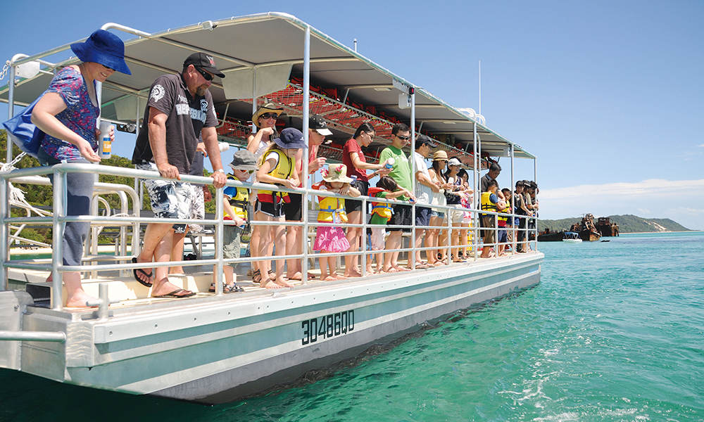 Tangalooma Island Resort Day Tour with Lunch & Wild Dolphin Viewing