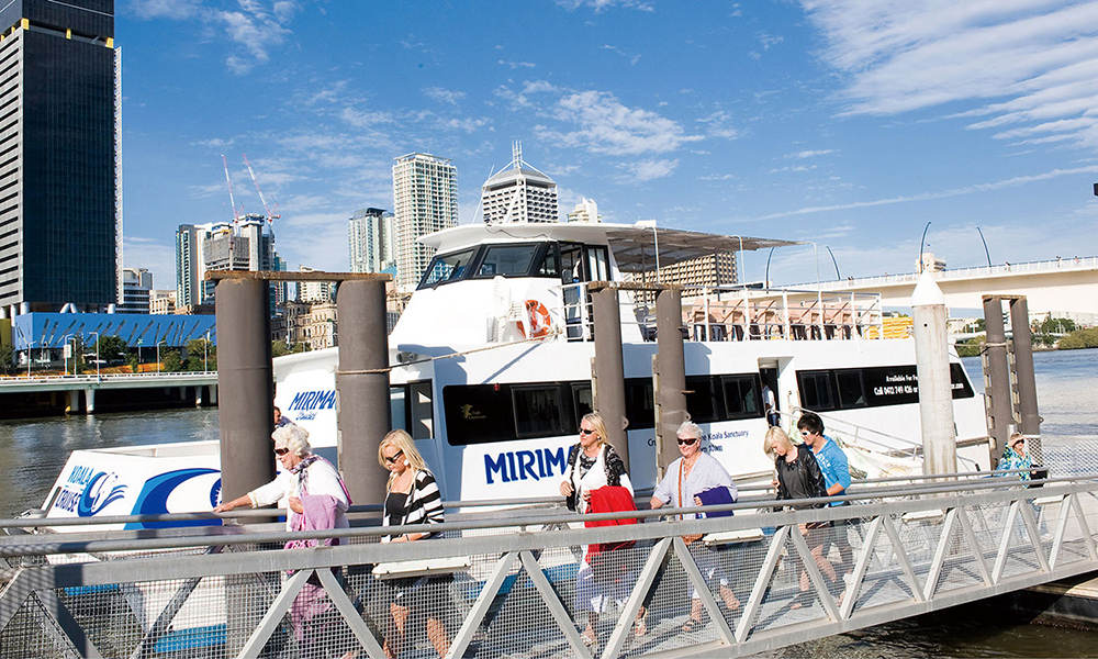 Brisbane City Sightseeing and Lone Pine Cruise departing Gold Coast