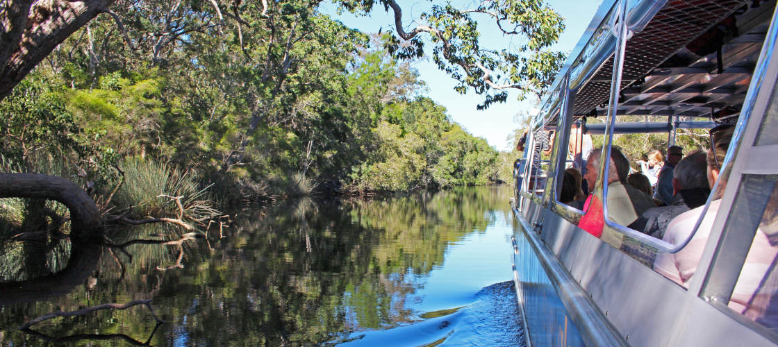 Noosa Everglades Cruise with Lunch