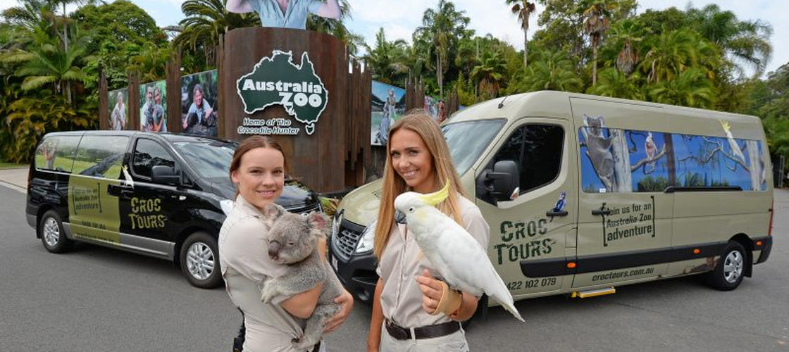 Australia Zoo Entry with Sunshine Coast Hotel Transfers