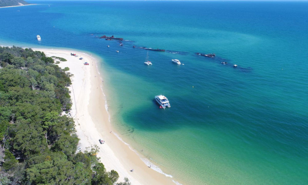 Moreton Island Dolphin Spotting and Snorkelling Cruise departing from Brisbane