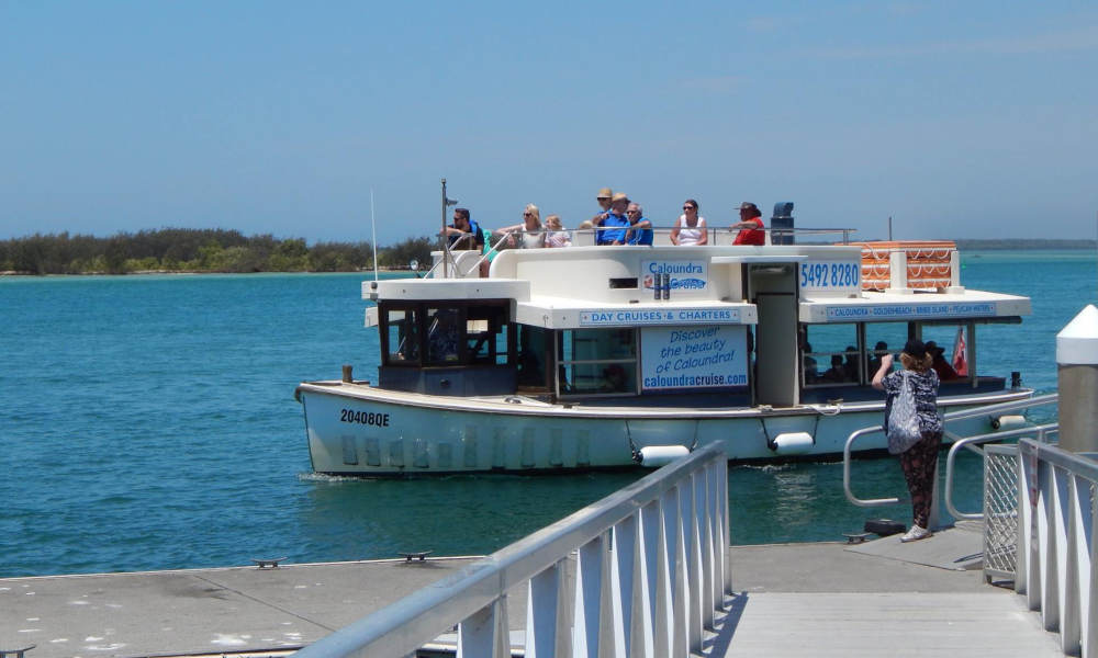 Caloundra Eco Explorer Calm Water Cruise