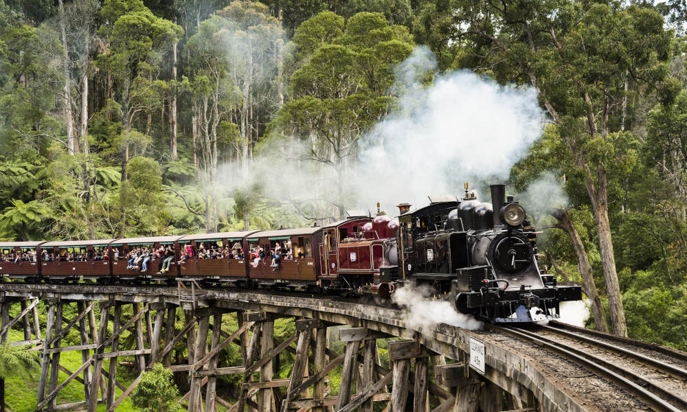 Puffing Billy and Healesville Wildlife Sanctuary Day Tour