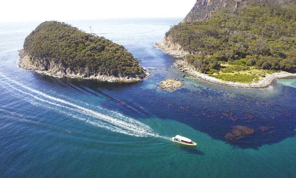 Bruny Island Wilderness Cruise and Bus Transfer from Hobart