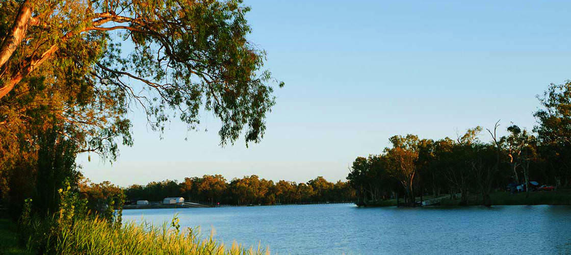 Murray River Day Tour with Cruise from Adelaide