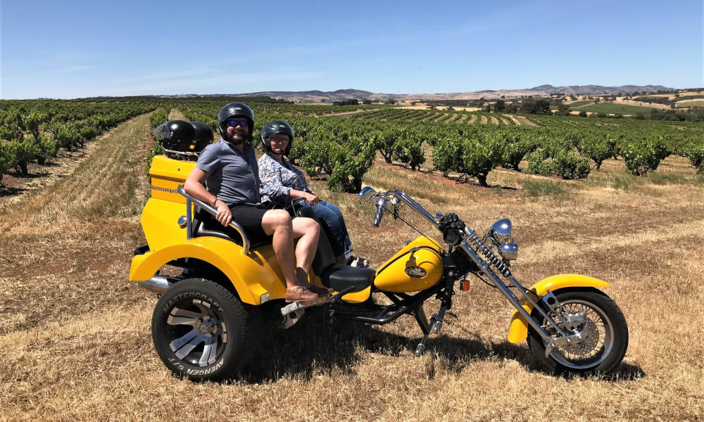 Barossa Valley Trike and Wine Tour