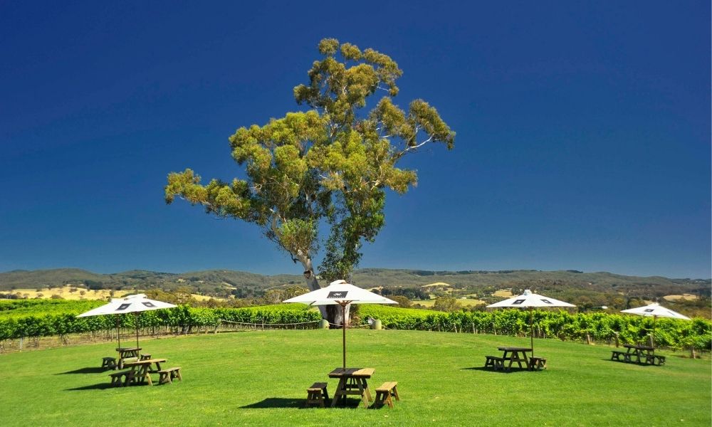 Adelaide Hills Wineries and Hahndorf Small Group Tour including Lunch