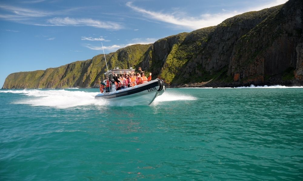 Victor Harbor Seal Island Cruise