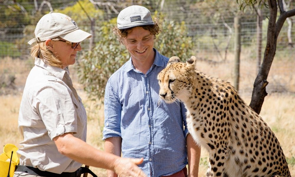 Cheetah Experience at Monarto Safari Park