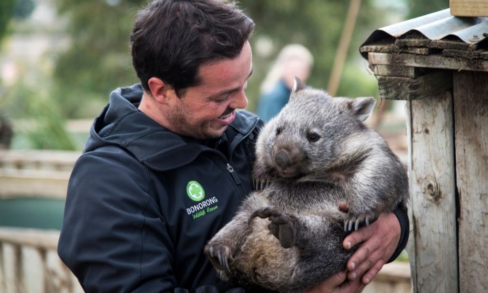 Bonorong Wildlife Park and Richmond Tour from Hobart