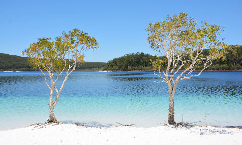 Fraser Island Day Tour from Hervey Bay