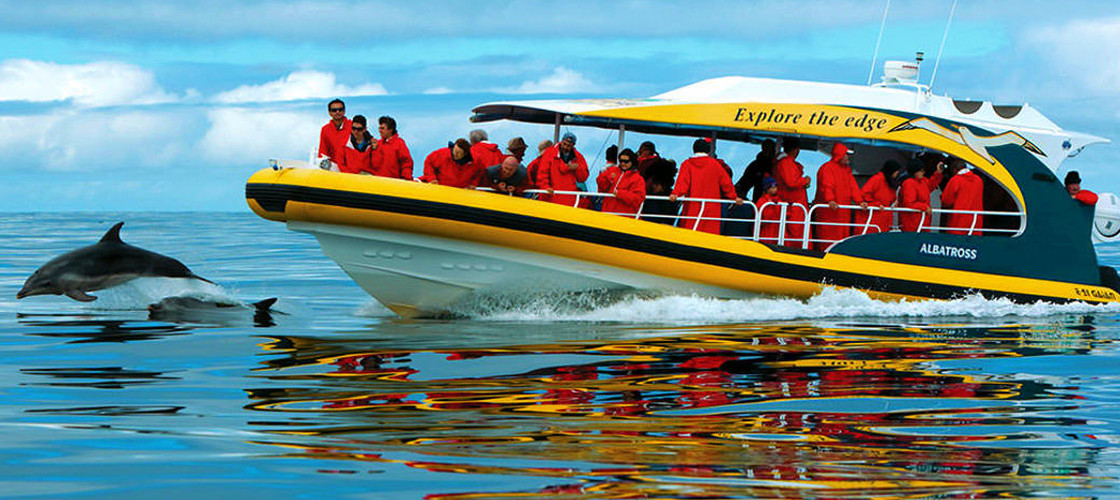Bruny Island Wilderness Cruise and Bus Transfer from Kettering