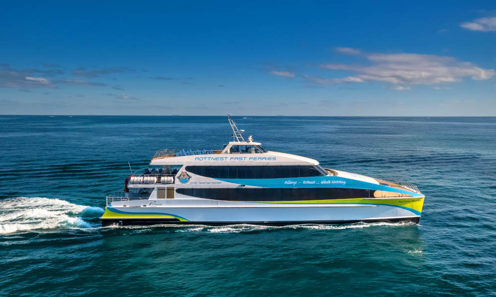 Rottnest Island Guided Bus Tour and Ferry Combo