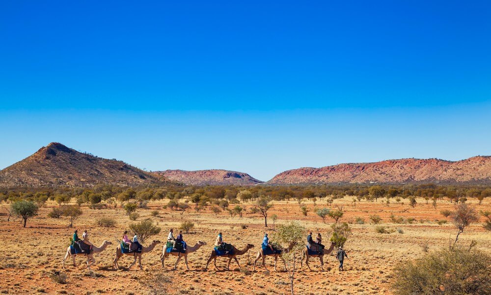 Alice Springs Noon Camel Ride