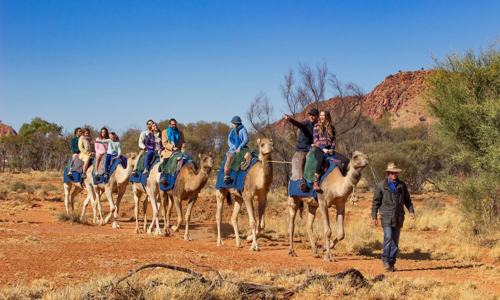 Alice Springs Noon Camel Ride