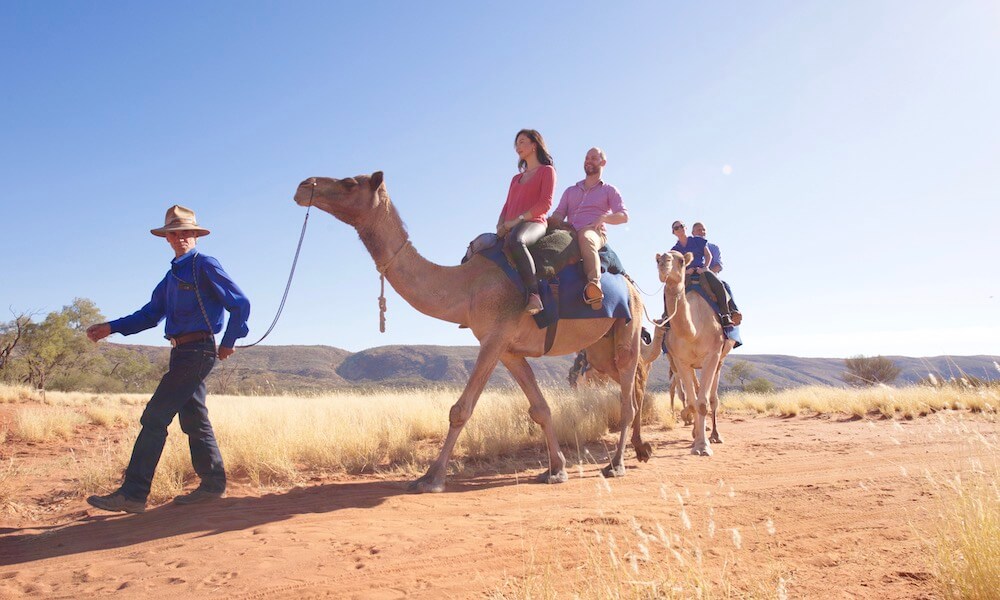 Alice Springs Sunset Camel Ride