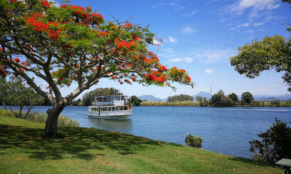 Tweed River and Rainforest Lunch Cruise