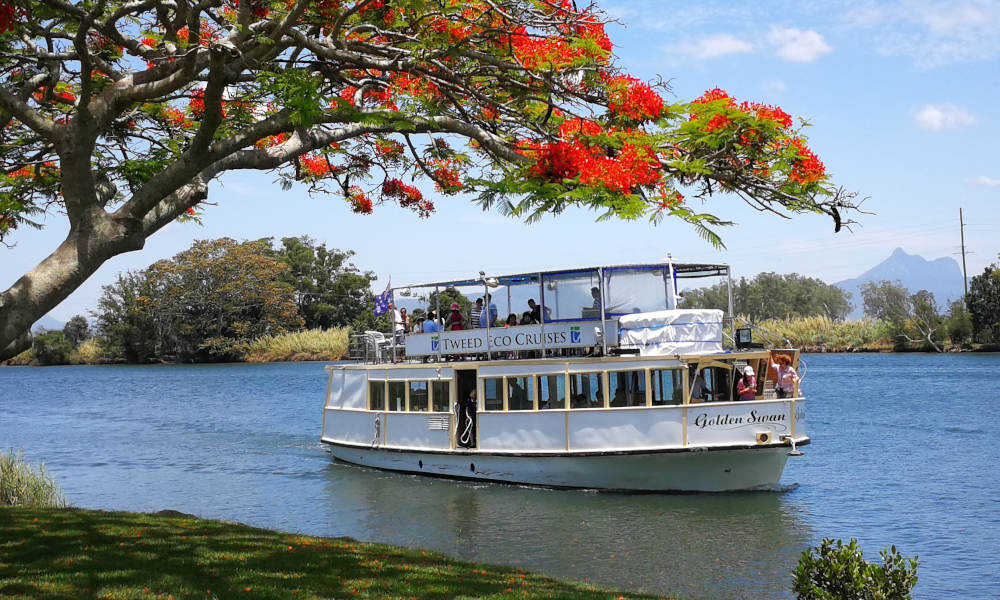 Tweed River and Rainforest Lunch Cruise