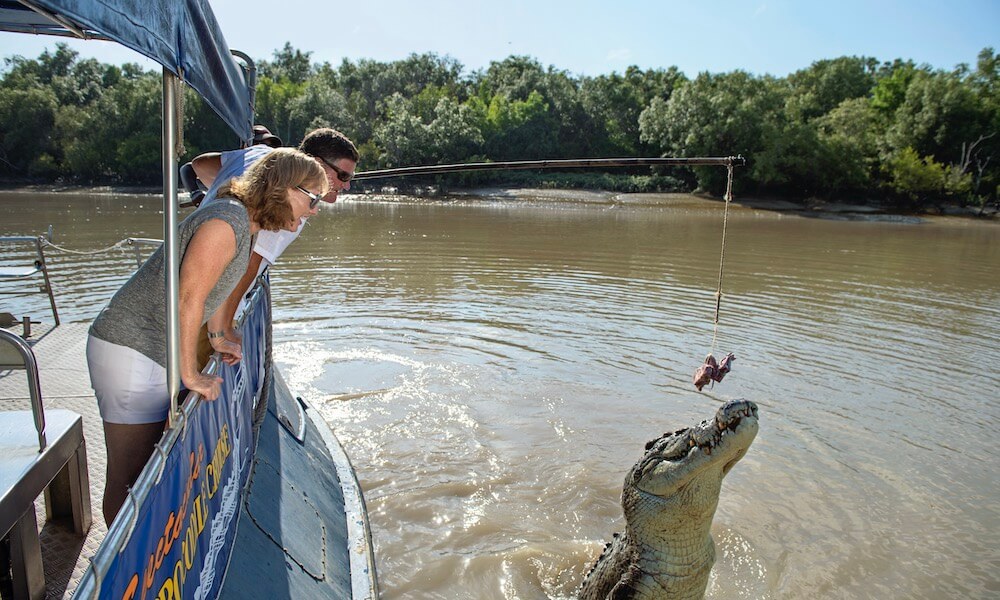 Adelaide River Jumping Crocodile Cruise