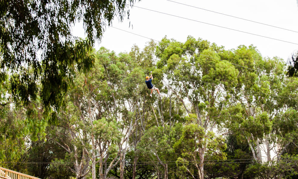 Adelaide TreeClimb Grand Course