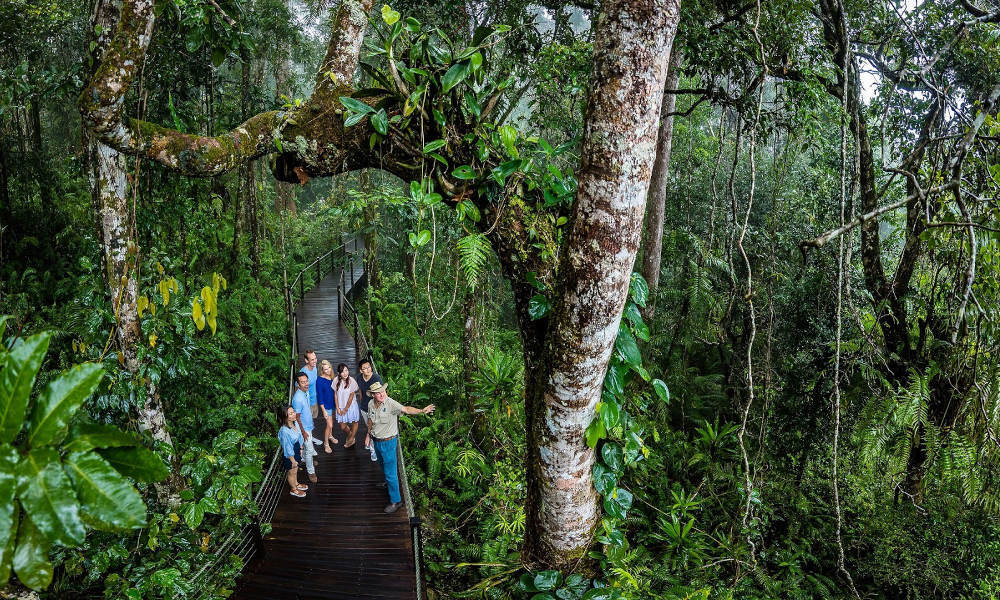 Kuranda Skyrail, Scenic Railway and Rainforestation Day Tour