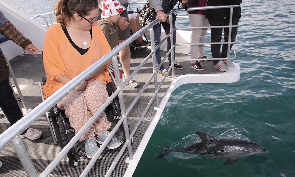 Jervis Bay Dolphin Watching Tour