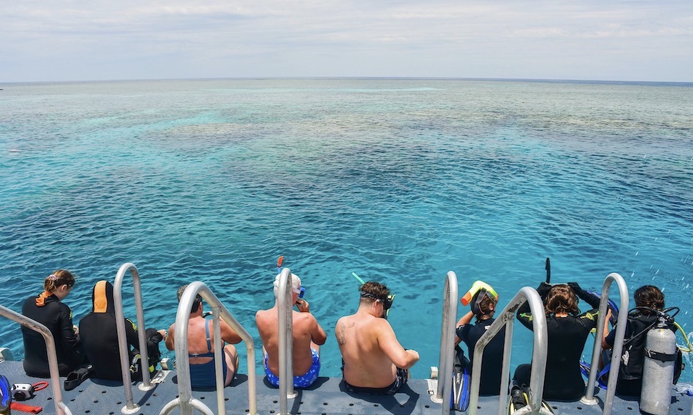 Great Barrier Reef Snorkel and Dive Cruise