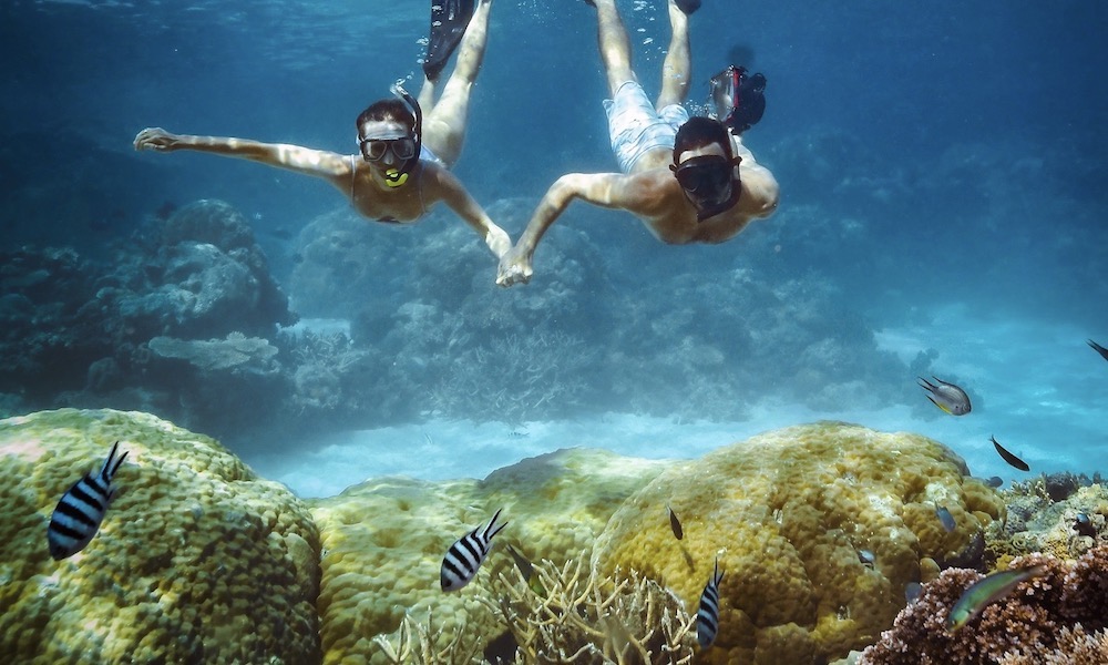 Great Barrier Reef Snorkel and Dive Cruise