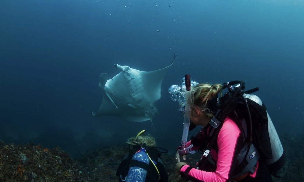 Introductory Scuba Dive Course in Byron Bay
